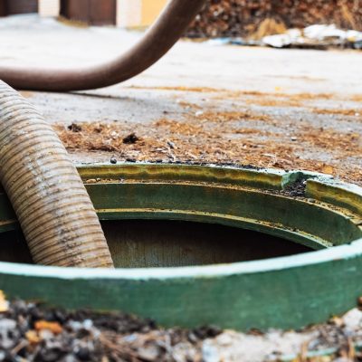 Shutterstock_2453123897